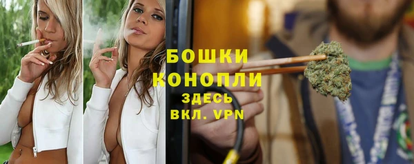 ALPHA-PVP Новозыбков