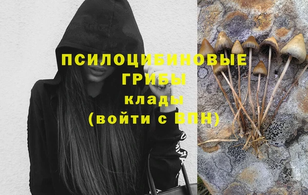 ALPHA-PVP Новозыбков
