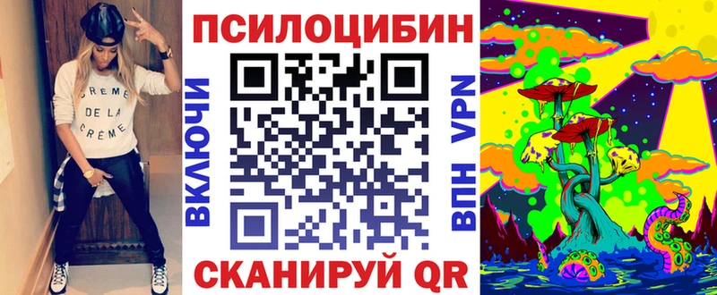 цена наркотик  Лыткарино  Псилоцибиновые грибы мицелий 