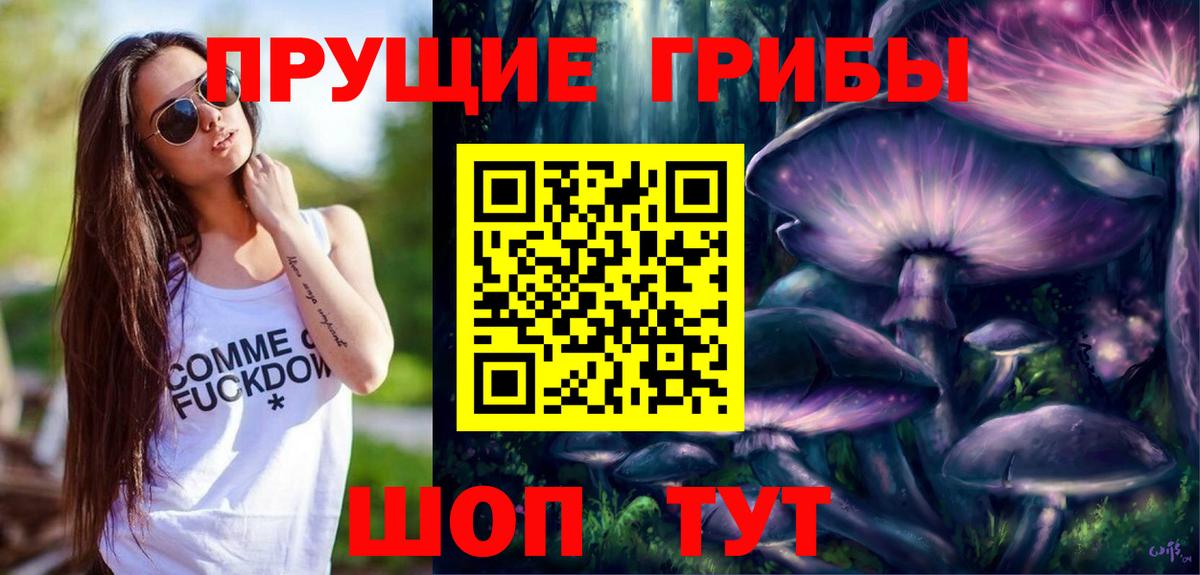 Псилоцибиновые грибы Psilocybine cubensis  Вход с VPN  Лыткарино 