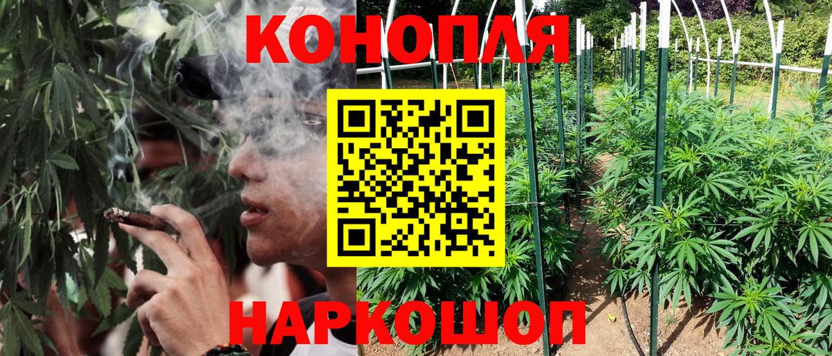 Лыткарино  Марихуана план  Марихуана OG Kush  Вход с VPN 